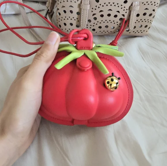 Loewe Paula's Ibiza Tomato pouch with strap - Picture 3 of 4